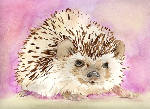 Sonic The Hedgehog. 9x12. Watercolour