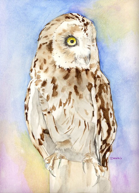 Owl